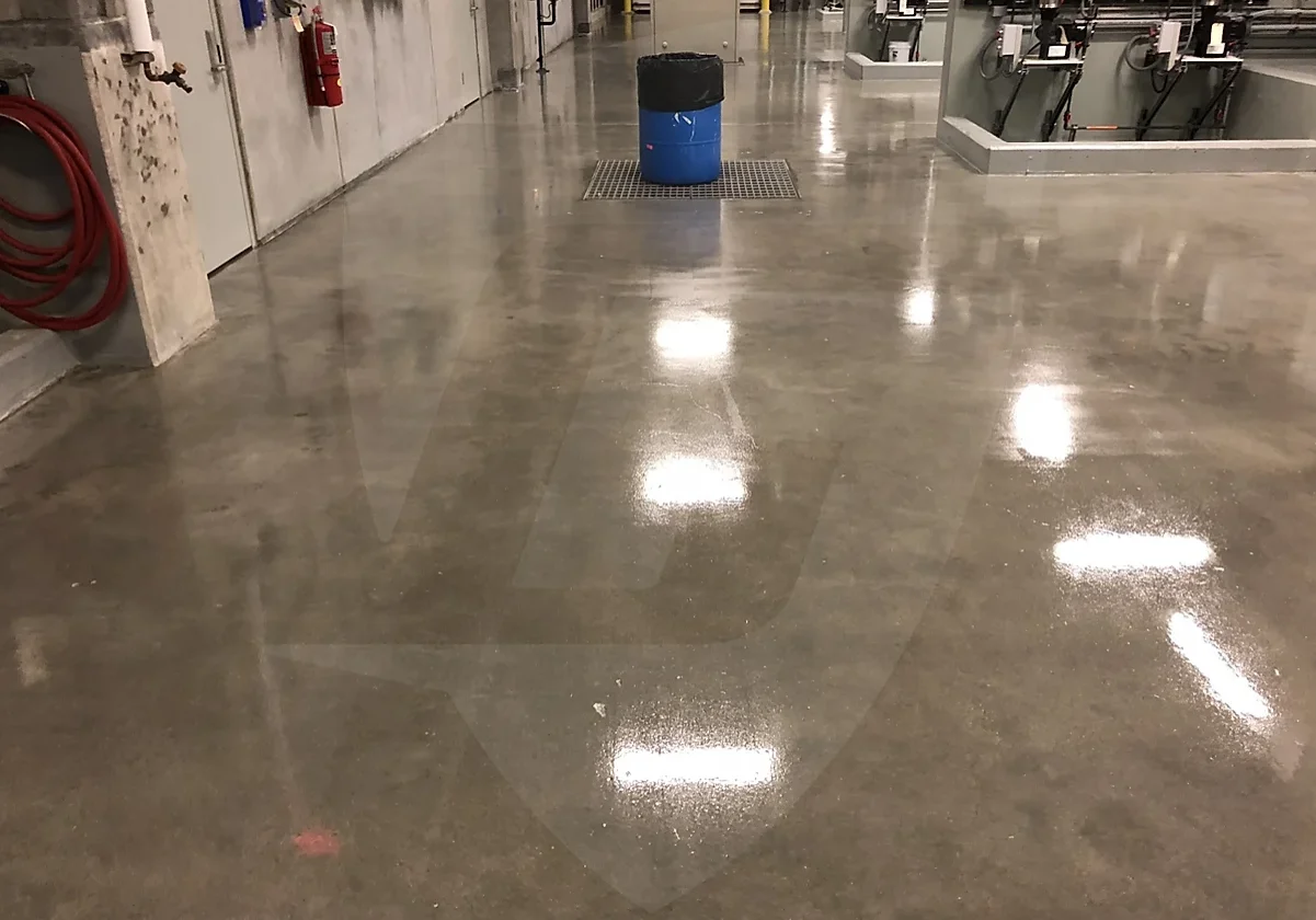 Sealed Concrete